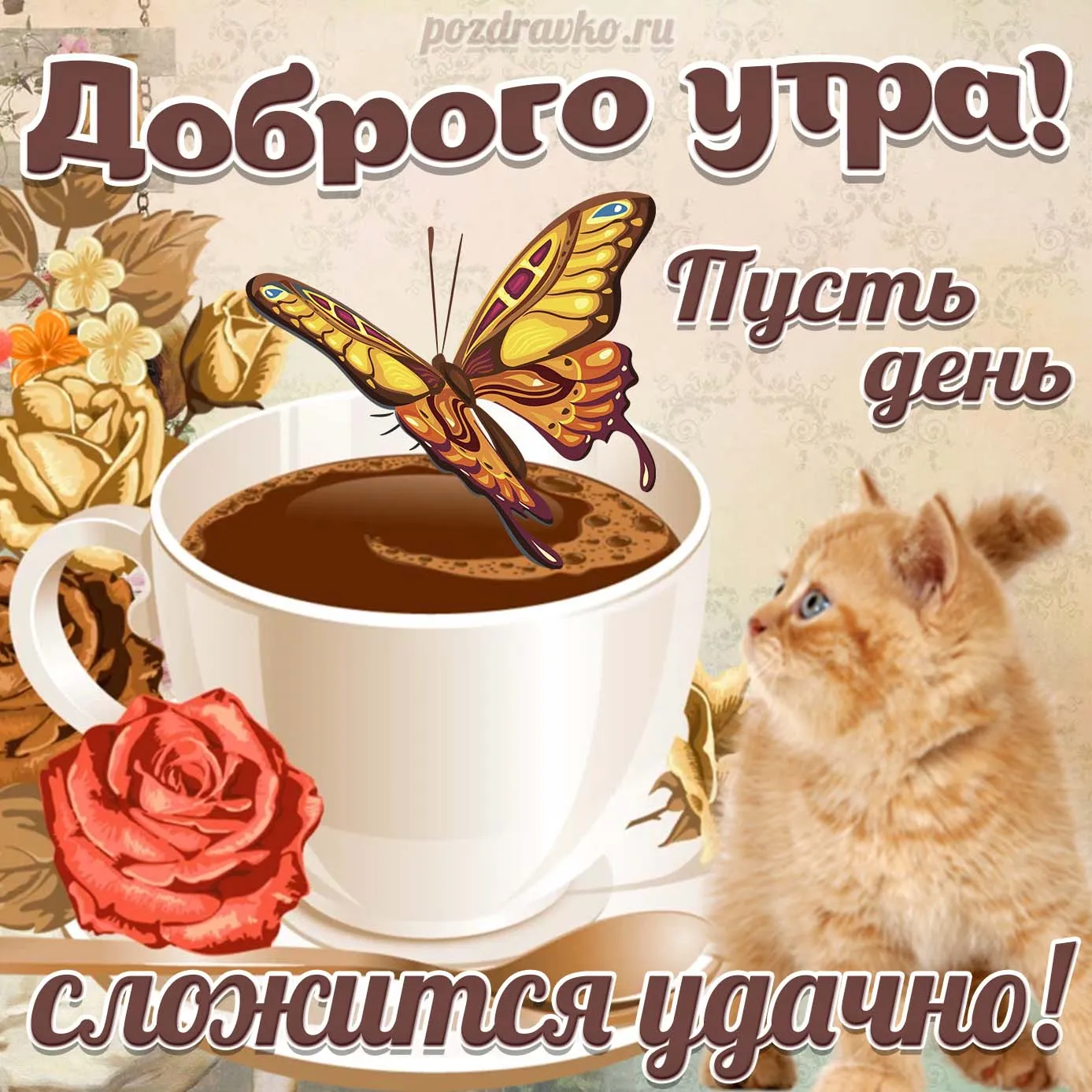 Скачать открытку с добрым утром хорошего дня