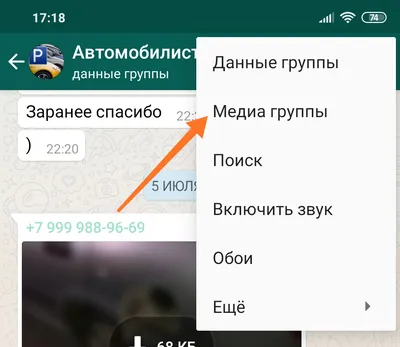 Главные хитрости WhatsApp: как стать невидимкой, выделять слова и еще 7  полезных советов | ichip.ru картинки