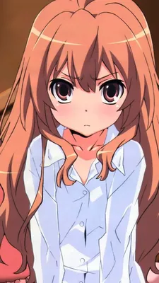 Скачать обои Пижама Toradora Taiga картинки