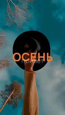 Идеи на тему «Осень» (210) | осень, осенние картинки, доброе утро картинки