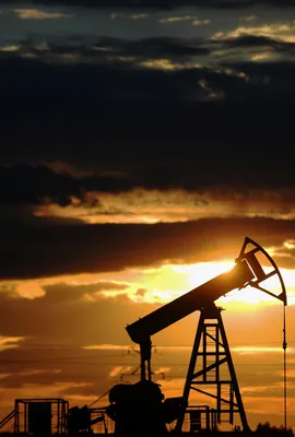 Минфин заявил о риске обрушения спроса на нефть: Госэкономика: Экономика:  Lenta.ru картинки