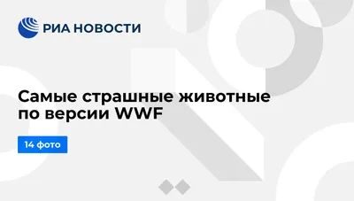 Самые страшные животные по версии WWF - РИА Новости, 31.10.2014 картинки