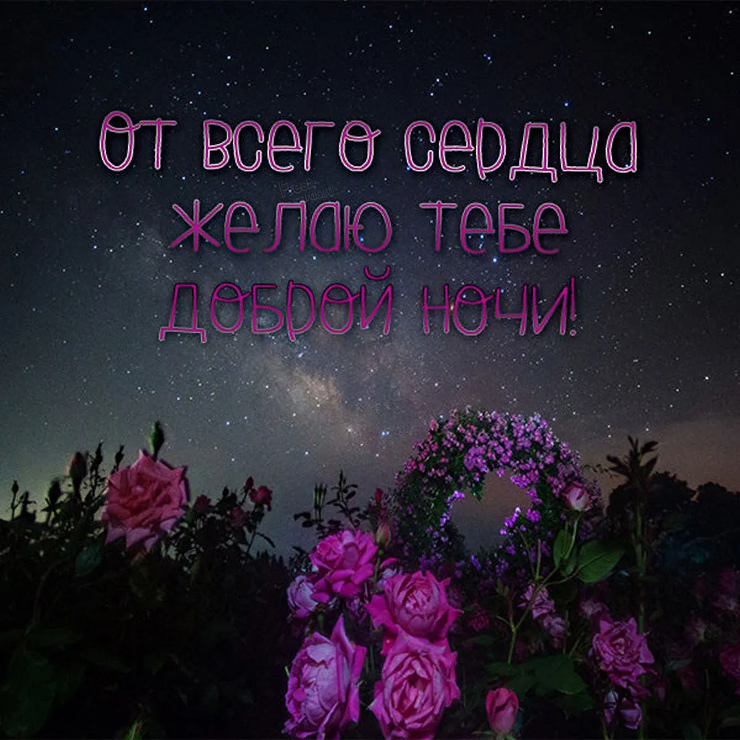 Спокойной ночи любимая моя картинки