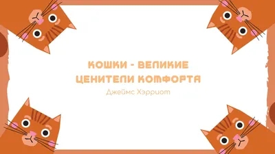 Классные обои на рабочий стол: скачать бесплатно | Canva картинки