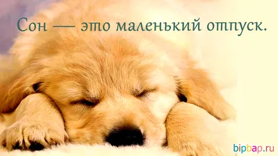Прикольные картинки на ночь глядя (35 фото) 🔥 Прикольные картинки и юмор картинки