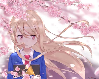 The Pet Girl of Sakurasou - Mashiro Shiina 2K wallpaper download картинки