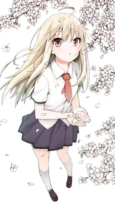 Sakurasou No Pet Na Kanojo iPhone Wallpapers - Top Free Sakurasou No Pet Na  Kanojo iPhone Backgrounds картинки