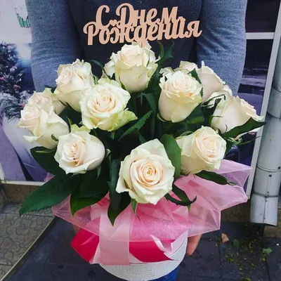Коробка \ картинки