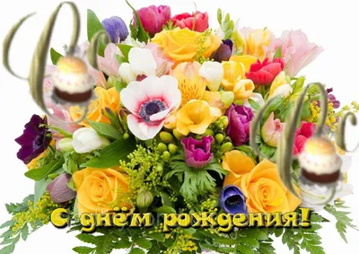 Печать Вафельной (рисовой) Или Сахарной Картинки с Днем Рождения на Торт  Цветы — Купить Недорого на Bigl.ua (1379393480) картинки