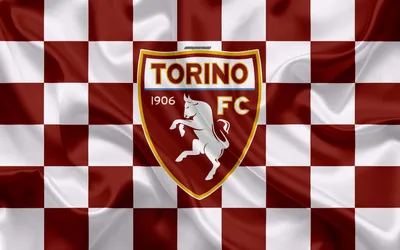 Скачать обои Torino FC, 4k, logo, creative art, коричневый белый клетчатый флаг, итальянский футбольный клуб, эмблема, шелковая текстура, Турин, Италия для монитора с разрешением 3840x2400. Высококачественные обои HD картинки картинки