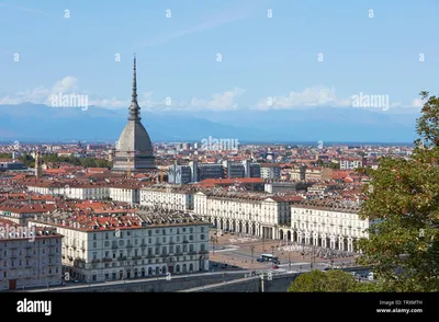 Turin Промышленные обои кремового и золотого цвета | я люблю обои картинки