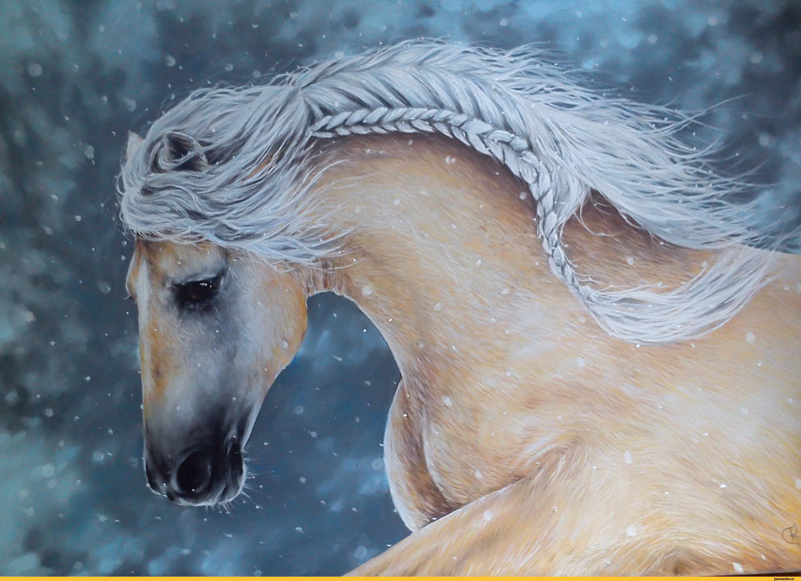Год лошади животных. Лошадь арт. Лошадь зима. Лошади зимой. Снежный конь.