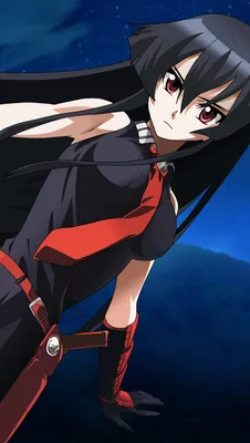 Акаме из Akame ga Kill! Аниме обои ID:7758 картинки