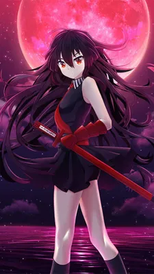 Akame Ga Kill Wallpapers - Топ 35 лучших фонов Akame Ga Kill Скачать картинки