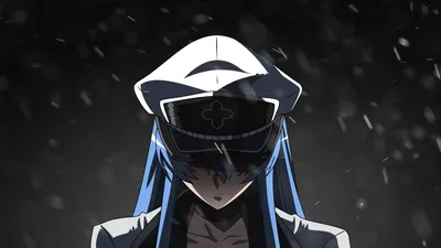 Akame ga Kill!, Anime girls, Esdeath HD Wallpapers / Desktop and Mobile Images \ u0026 Photos картинки