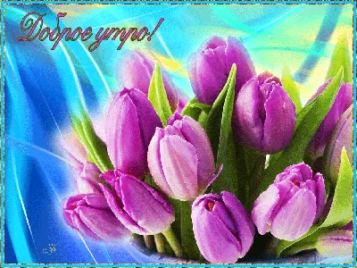 Красивые картинки С добрым весенним утром скачать картинки
