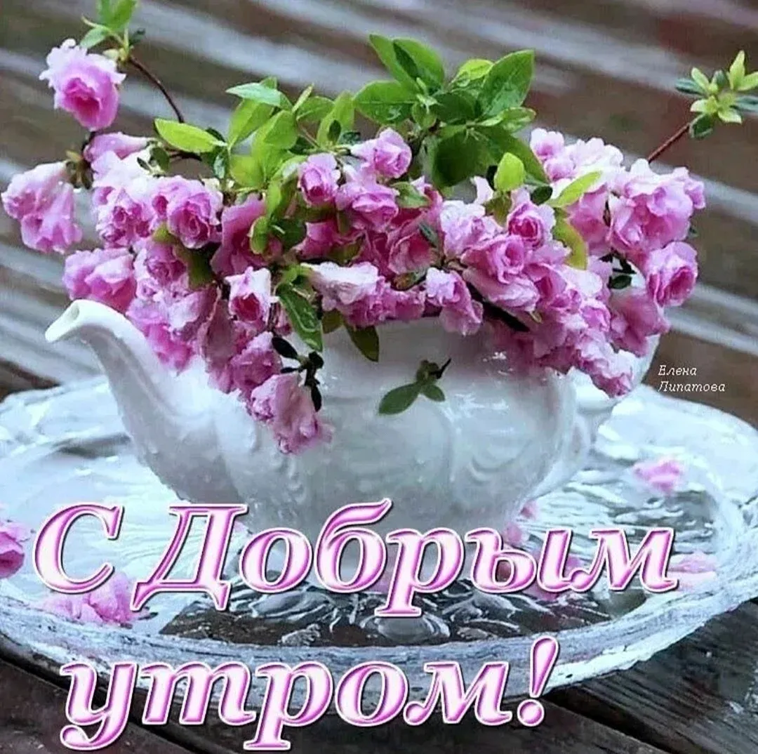 Чудесного дня красивые картинки (69 лучших фото) картинки