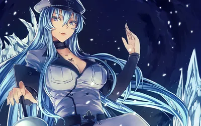 Скачать обои девушка, лёд, Akame ga kill, убийца Акаме, Esdeath, Jaegers, раздел прочее в разрешении 1920x1200 картинки