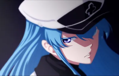 Скачать обои kill, esdeath, akame, exdeath, раздел прочее в разрешении 1024x1024 картинки