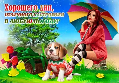 Открытки прекрасного настроения в любую погоду - фото и картинки  abrakadabra.fun картинки