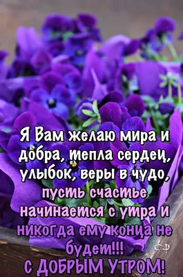 Пин от пользователя Светлана на доске С добрым утром | Доброе утро,  Христианские картинки, Утренние цитаты картинки