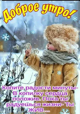 ДОБРОЕ УТРО! 🎄💖⛄🍒❄🎇❄🍒⛄💖🎄 ХОРОШЕГО НАСТРОЕНИЯ В ЛЮБУЮ ПОГОДУ! 🌨☀❄ |  Доброе утро, Открытки, Зимние картинки картинки