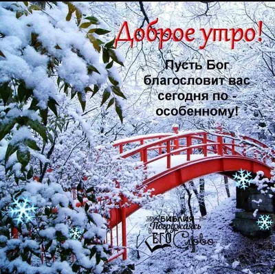 ДОБРОЕ УТРО! 🎄💖⛄🍒❄🎇❄🍒⛄💖🎄 ХОРОШЕГО НАСТРОЕНИЯ В ЛЮБУЮ ПОГОДУ! 🌨☀❄ |  Good morning, Beautiful rose flowers, Abstract картинки