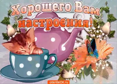 Доброе утро и отличного настроения в любую погоду - фото и картинки  abrakadabra.fun картинки