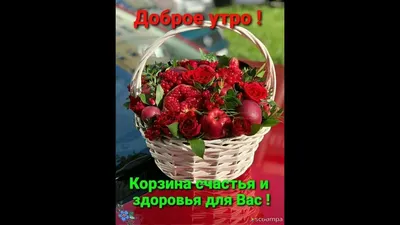 Хорошего настроения в любую погоду 🤗С добрым утром 🌝 - YouTube картинки