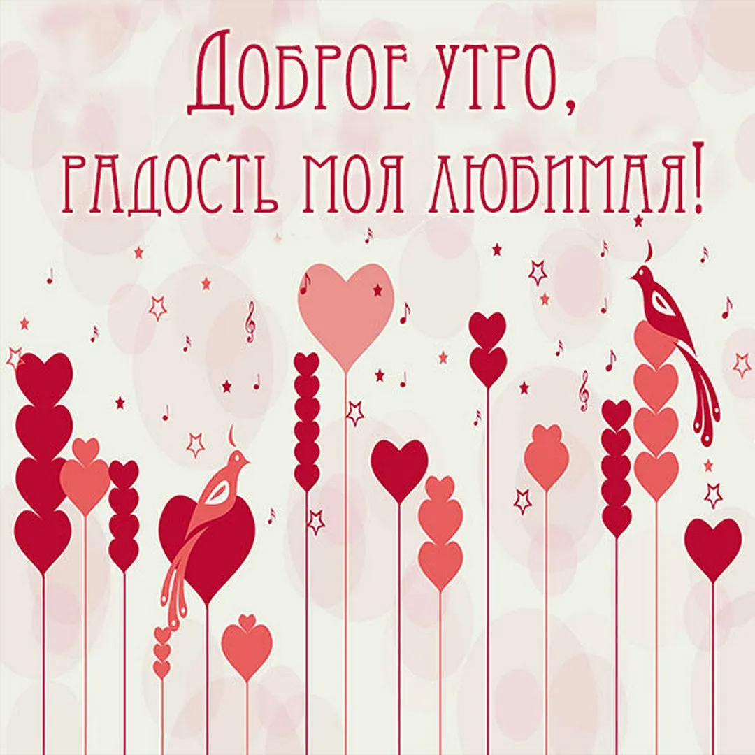 Целую обнимаю