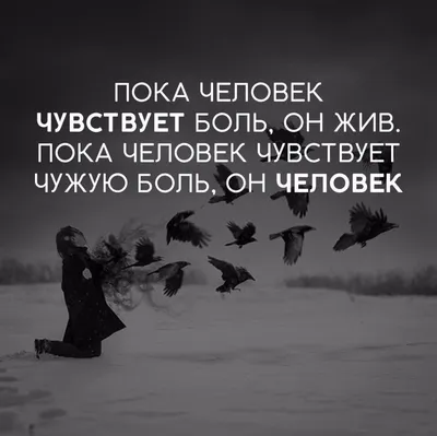 Картинки жизненные фразы - Афоризмо.ru картинки