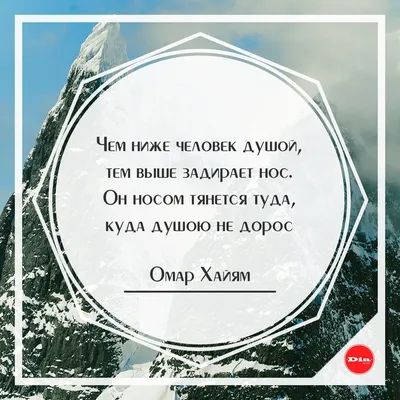 Чем ниже #человек душой, тем выше задирает #нос. Он носом тянется туда,  #куда душою не #дорос. Омар Хайям #цитаты #dia4ho… | Мудрые цитаты,  Случайные факты, Цитаты картинки