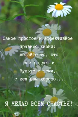 Цитаты высказывания выражения афоризмы крылатые фразы из книг про жизнь о  любви мотивационные | Мудрые цитаты, Вдохновляющие фразы, Воодушевляющие  цитаты картинки