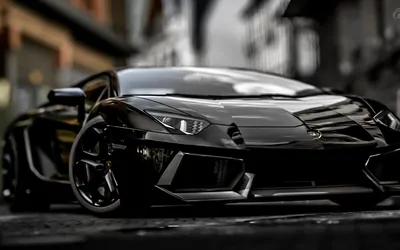 Скачать обои Lamborghini Aventador Black Front View, Lamborghini,  Aventador, Черный, Front, View в разрешении 1280x800 на рабочий стол картинки