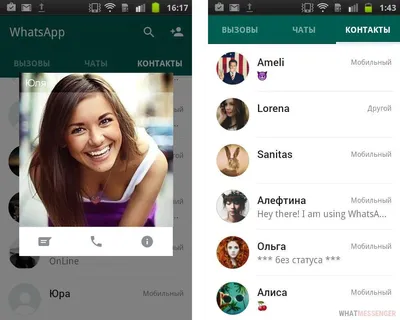 Как поставить фото на контакт или аватар в Ватсапе в телефоне и ПК картинки