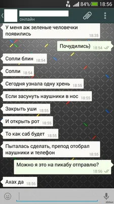 Ватсап сближает: истории из жизни, советы, новости, юмор и картинки —  Горячее, страница 84 | Пикабу картинки