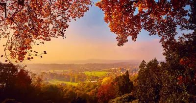 Фон рабочего стола где видно Обои на рабочий стол осень, лес, leaves,  landscape, fall, парк, tree, листья, autumn, colorful, деревья, park, forest картинки