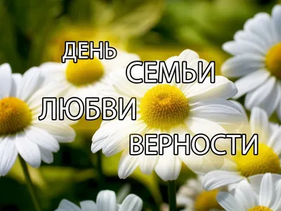 День Семьи, Любви и Верности - СПОРТИВНАЯ ШКОЛА ОЛИМПИЙСКОГО РЕЗЕРВА № 7  МУНИЦИПАЛЬНОГО ОБРАЗОВАНИЯ ГОРОДСКОЙ ОКРУГ ГОРОД-КУРОРТ СОЧИ КРАСНОДАРСКОГО  КРАЯ картинки