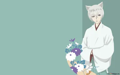 242653 3000x2300 Tomoe (Kamisama Kiss) - Rare Gallery HD Wallpapers картинки