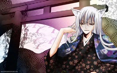 tomoe, kamisama hajimemashita, fox-demon Wallpaper, HD Anime 4K Wallpapers, Images, Photos and Background картинки