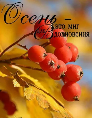 Идеи на тему «Доброе утро» (35) | доброе утро, открытки, вдохновляющие  цитаты картинки