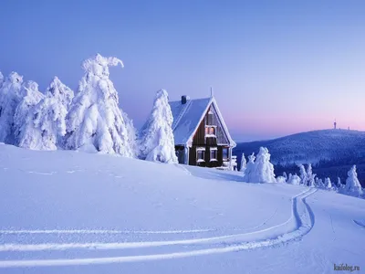 Красивая зима (60 фото) | Winter wonderland wallpaper, Winter scenes,  Winter wallpaper картинки