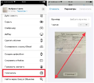 Как на iPhone сделать PDF из фото без сторонних приложений | AppleInsider.ru картинки