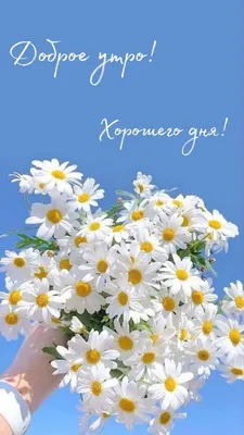 Оригинальные картинки \ картинки