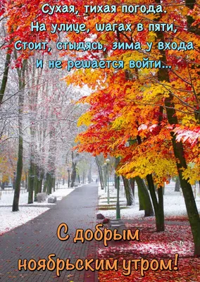 Пин от пользователя Светлана на доске С добрым утром | Пейзажи, Осенние  картинки, Живописные пейзажи картинки