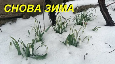 VLOG: 11.03.2023 КУПИЛА ОБОИ ПО 78 КОПЕЕК / В ПОНЕДЕЛЬНИК ПРИЕДУТ ГОСТИ -  YouTube картинки