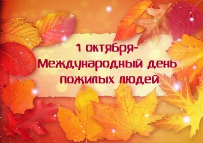 В Сандовском округе отметят День пожилого человека | официальный сайт  «Тверские ведомости» картинки