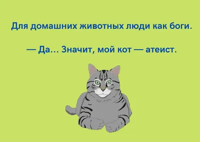 Анекдоты про котов: 50+ шуток, которые поднимут вам настроение картинки