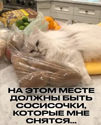 На этом месте должны быть сосисочки, которые мне снятся... картинки