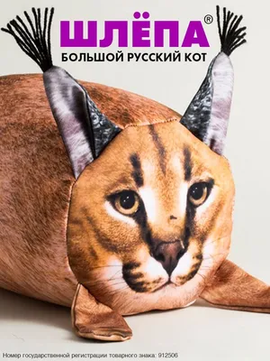 Игрушка ШЛЕПА БОЛЬШОЙ РУССКИЙ КОТ детям 25х15 см БЛОПТОП 63414239 купить в  интернет-магазине Wildberries картинки